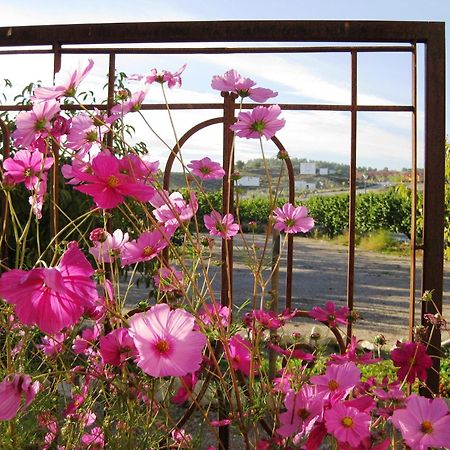 Jardines De Casablanca Hotell Caravaca De La Cruz Exteriör bild