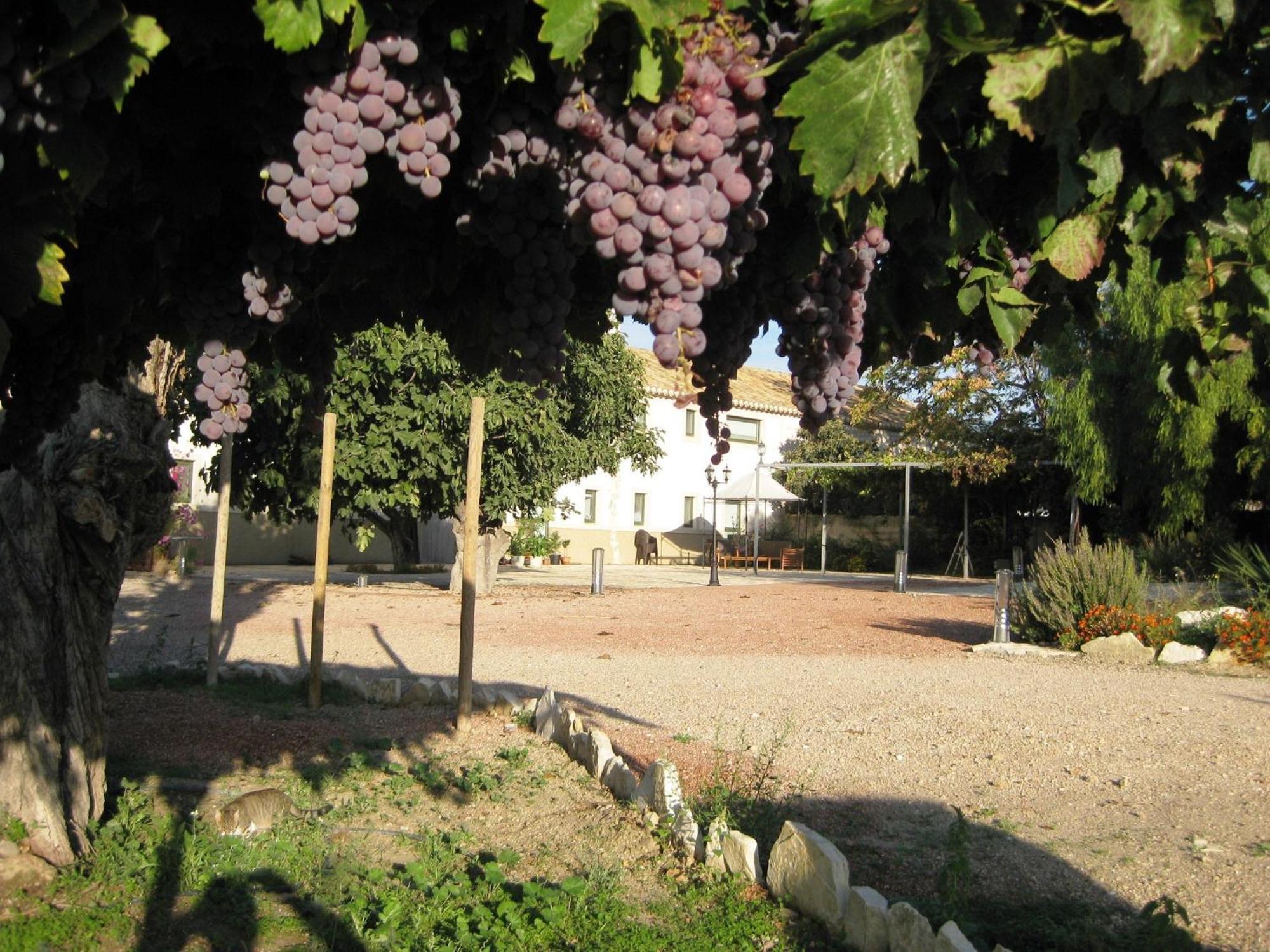 Jardines De Casablanca Hotell Caravaca De La Cruz Exteriör bild