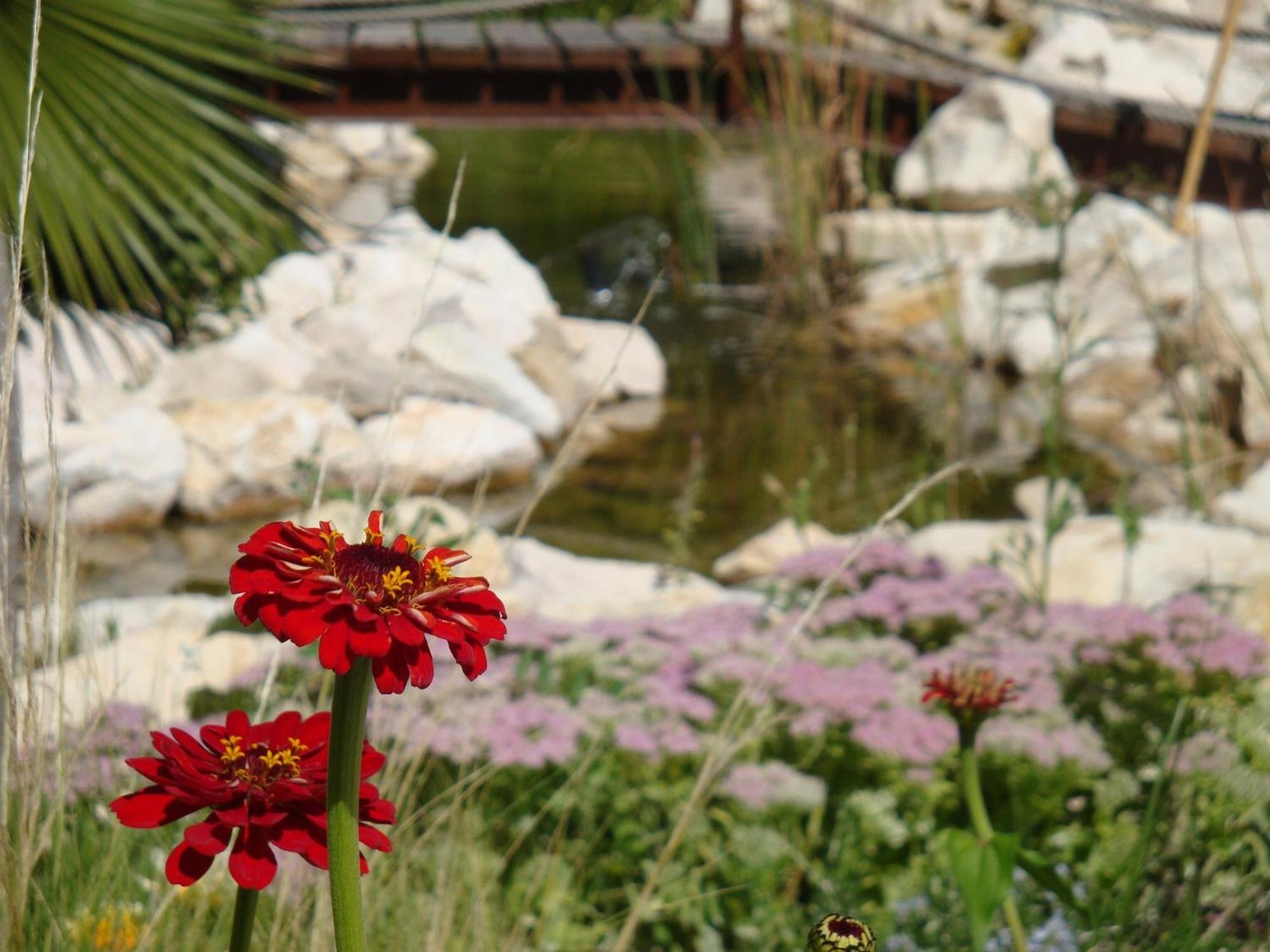 Jardines De Casablanca Hotell Caravaca De La Cruz Exteriör bild